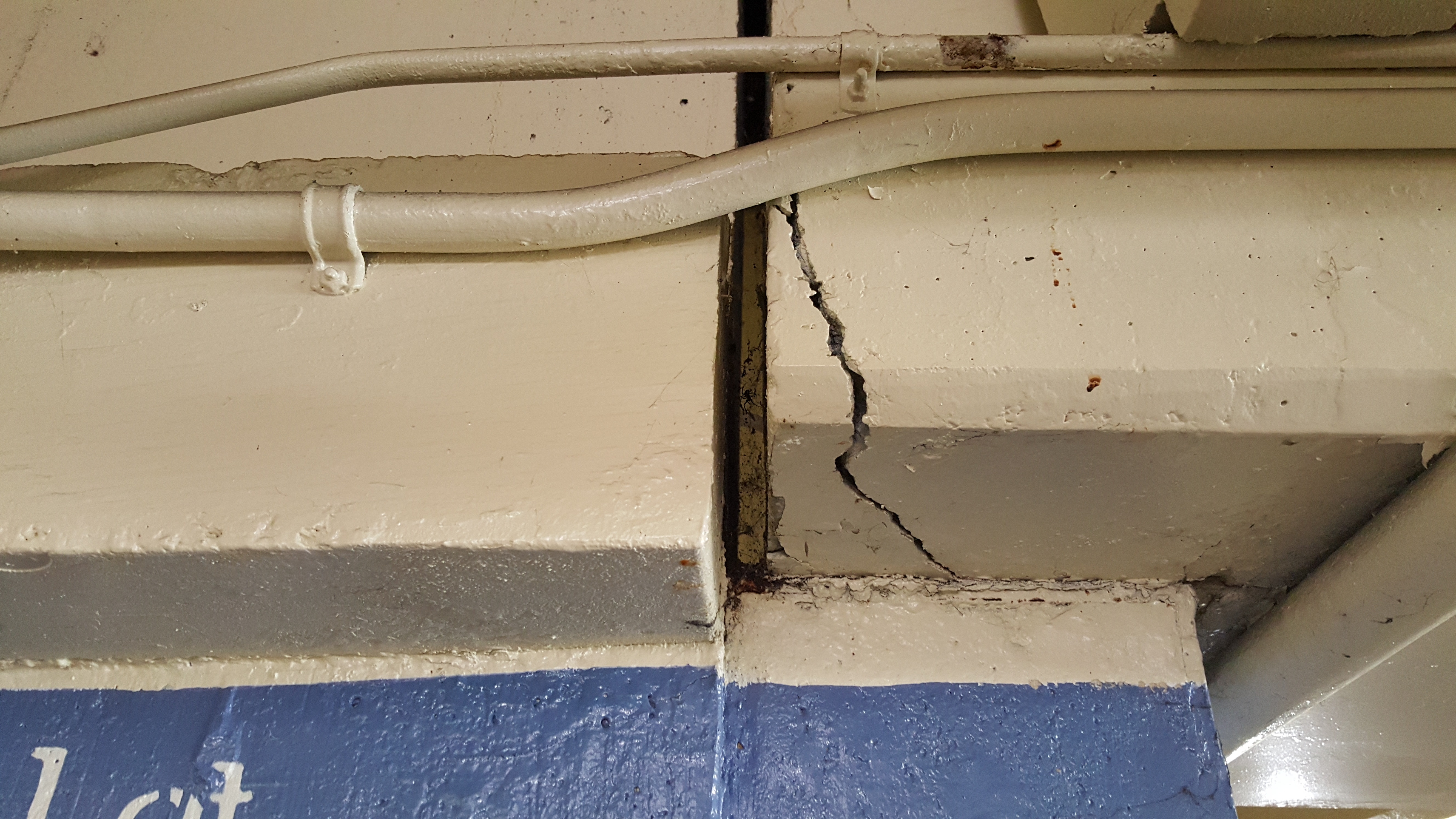 Image of Protecting Your Parking Investment