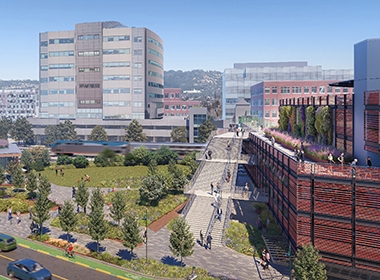 Image of The Changing Complexity of Parking