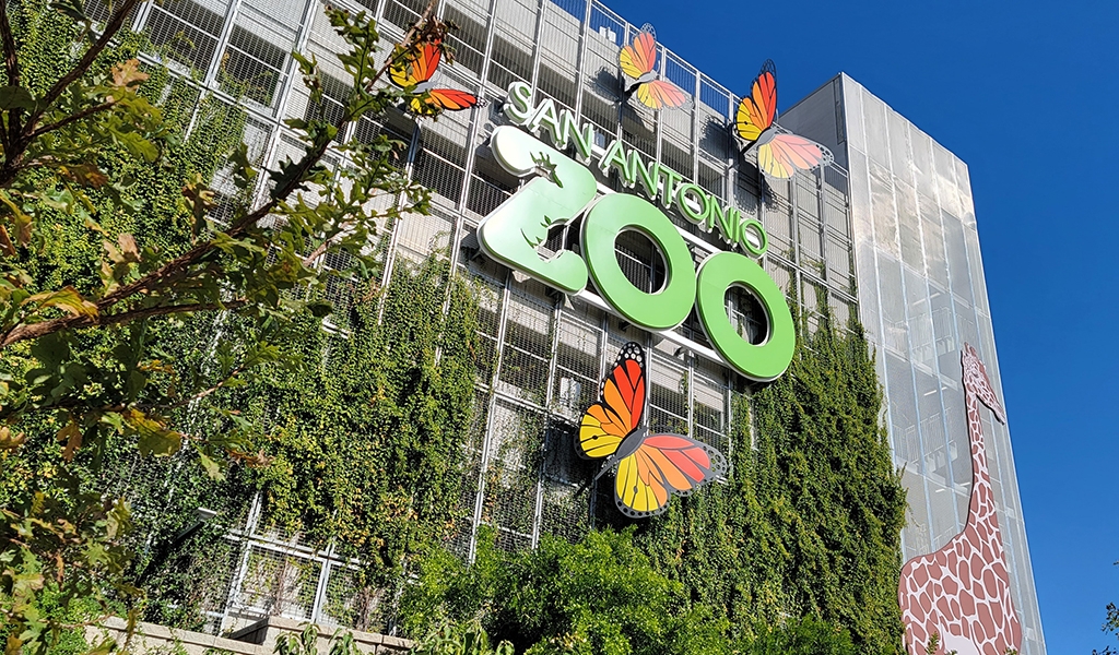 Slideshow image for San Antonio Zoo Garage Programming Documents