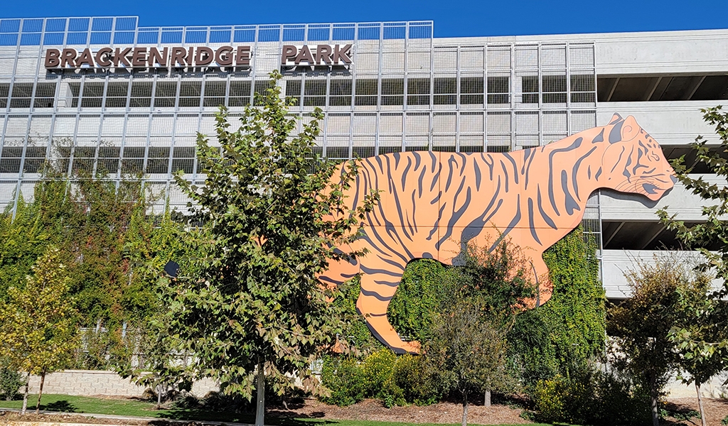 Slideshow image for San Antonio Zoo Garage Programming Documents