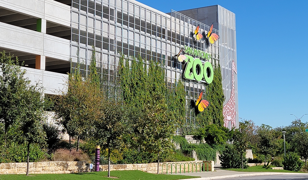 Slideshow image for San Antonio Zoo Garage Programming Documents
