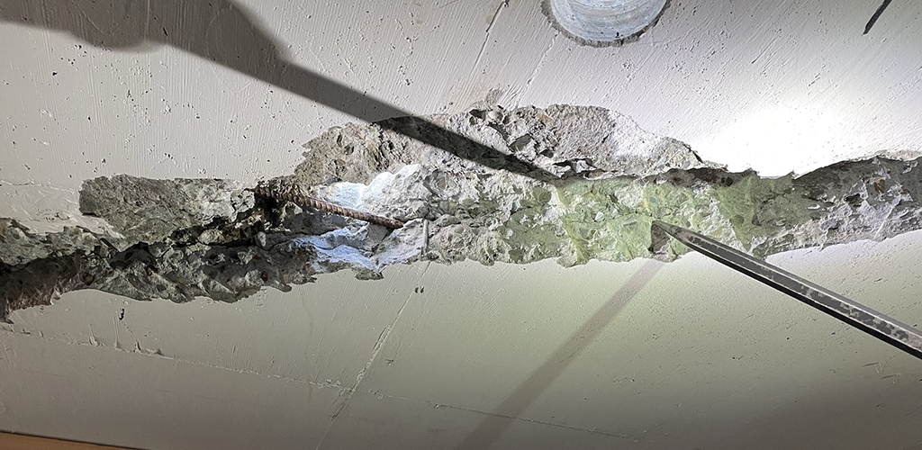 Slideshow image for 590 Ygnacio Condition Assessment & Repair